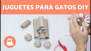 4 juguetes para gatos con rollos de papel higiénico DIY