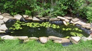 How to build a Garden pond for beginners /Easy steps wildlife pond