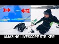 Amazing Ice Fishing Livescope Strikes! (Crappies, Pike, and Perch)