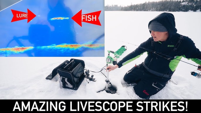 Big Pike Caught Ice Fishing On Light Line With LiveScope #shorts 