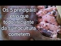 Os 5 erros mais comuns para quem tá começando uma criação de porcos@Granja santo Onofre