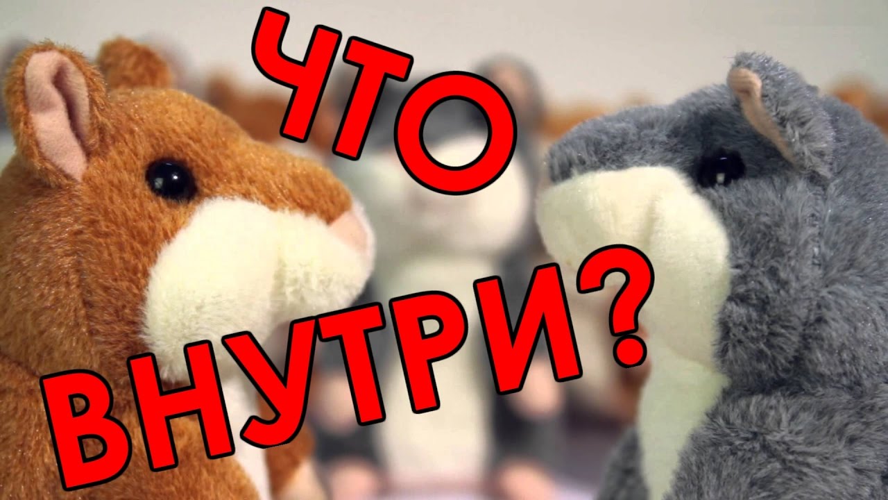 ЧТО ВНУТРИ хомяка повторюшки? Разбираем говорящего хомяка! - YouTube