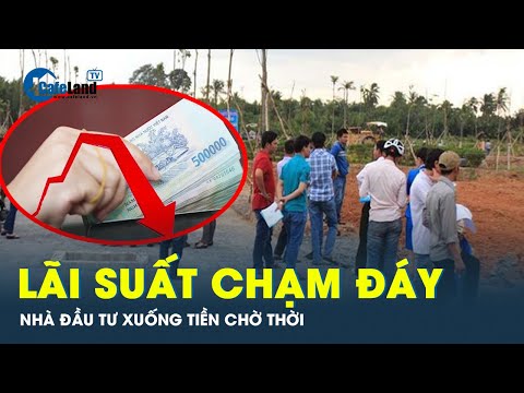 #2023 Lãi suất ngân hàng èo uột, nhà đầu tư bất động sản dồn tiền vào đất chờ “ăn” quả lớn | CafeLand