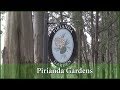 Pirianda Gardens - A garden to visit in Olinda, Melbourne