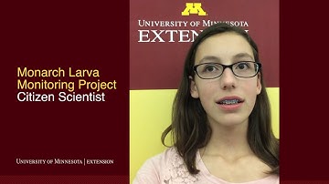 How are the data you collected useful to the world? (Driven to Discover Citizen Science project)