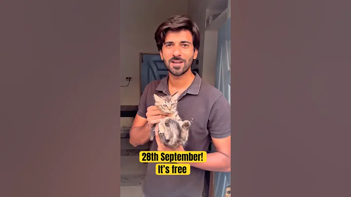 Video 11152221: breeds persian cat bengal, tabby cat persian, adopted bengal cat