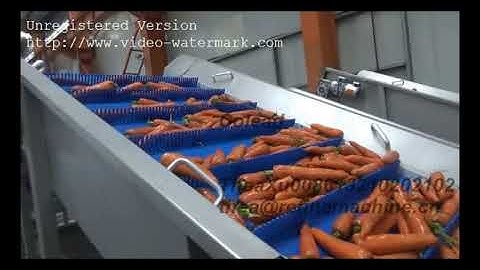 Corrots washing line/carrot cleaning machine/root vegetable processing