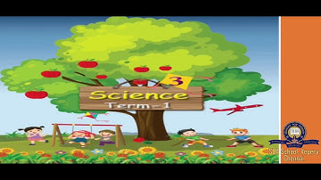 Class 3/TNB/SCIENCE/LESSON 2 - PART 3/SESSION 6