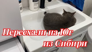 картинка: 682ч🏡30.09.25-Снова рынок с саженцами//Рыбный день//Ремонт