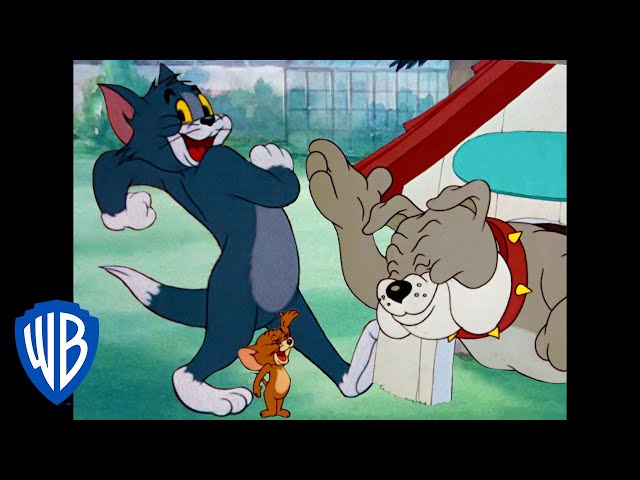 Tom & Jerry | The Evening Fun! | Classic Cartoon Compilation | WB Kids class=