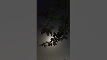 Night photography (IISER Bhopal)/ Ohhh rangrezz/ Vishal Bhardwaj