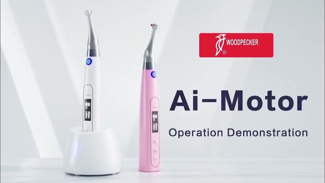 Трдд аи-222-25ф. Woodpecker ai motor t0mode. Woodpecker ai motor t0mode. Woodpecker ai-motor. Ai motor.