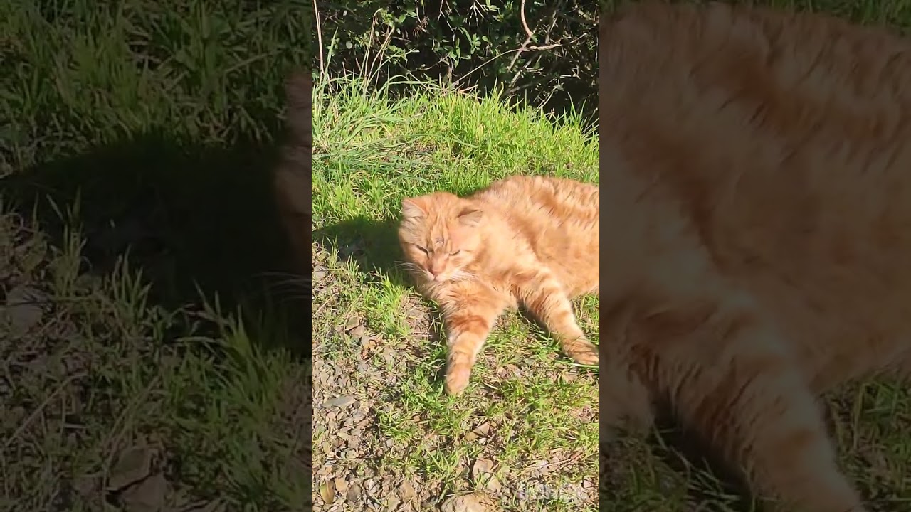 İzmir Balçova Terapi ormanı çok güzel tavsiye ederim 