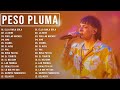 Peso pluma mix  top 15  album de peso pluma 2023  mejor cancin peso pluma 2023