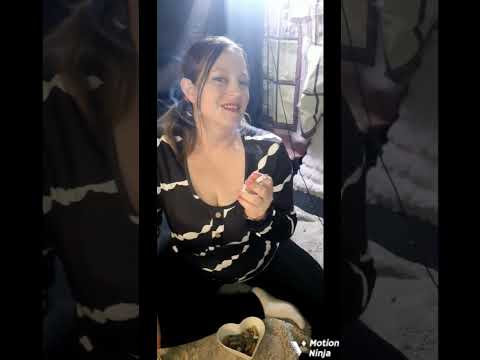 after work cigarette with a smoking girl #smokingfetish #smokinggirl
