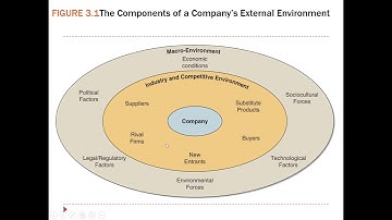 Evaluating the External Environment 2
