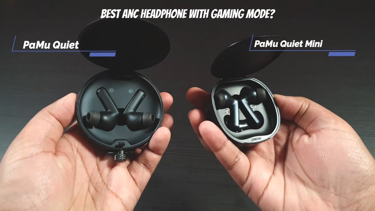 pamu quiet mini review