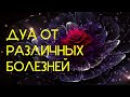 ДУА ОТ РАЗЛИЧНЫХ БОЛЕЗНЕЙ И БОЛЕЗНЕЙ