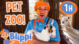 blippi visits a pet zoo in brazil 1 hour of blippi toys animal videos for kids