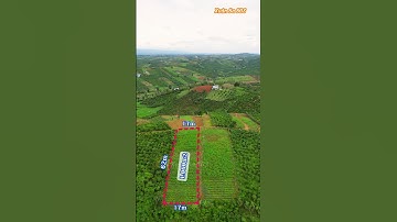 Chỉ 1,1 tỷ/1.000m2 view siêu đẹp - TP Bảo Lộc | Xuân Ba BĐS #batdongsan #baoloc #xuhuong