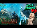 VALHEIM - Hunting the Mountain and WOLF TAMING! E21