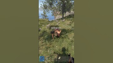 the weirdest rust interaction #shorts #rust #funny