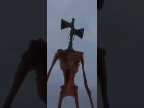 DAY 17 VS