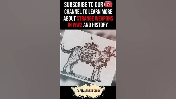 Did You Know Russians Trained Dogs to Run Bombs in WW2? #shorts