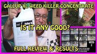 Gallup XL Concentrated weed killer...full review