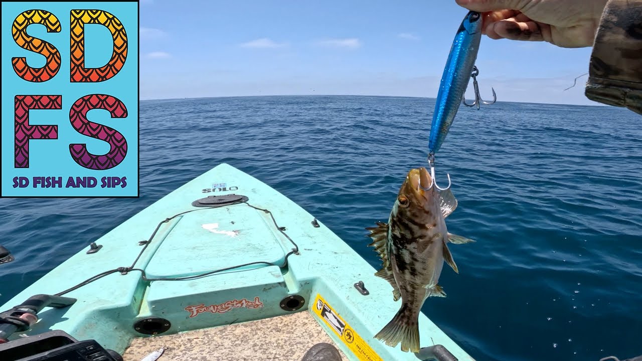 LA JOLLA TOP WATER Fishing CALICO BASS & Barracuda 1904 Lure Co STICKBAIT Solo Skiff San Diego 2025