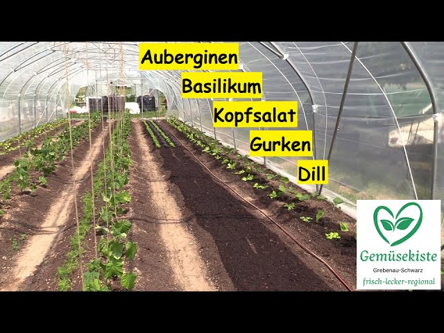 bio dünger für hochbeet Bio-Hochbeet-Dünger kaufen