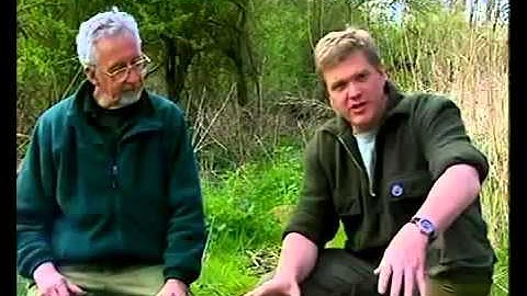 Stinging Nettle as Food - Ray Mears