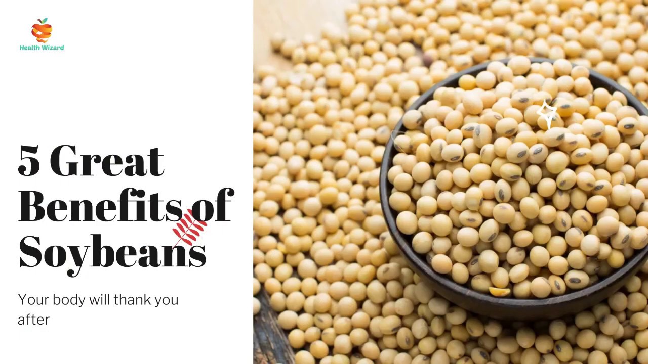5 Benefits of Soy Beans Health Wizard YouTube