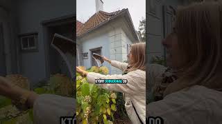 Sopockie ciekawostki z Agnieszką Lasotą z Sopot and More. 300-letni Dworek Sierakowskich