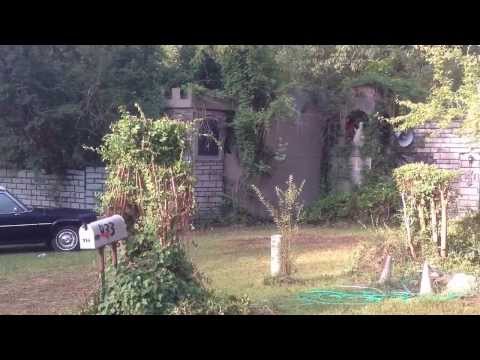 click to play video