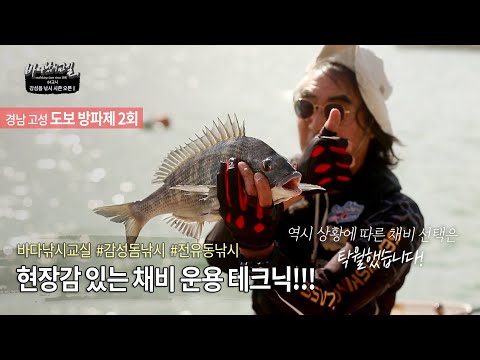 #바다낚시교실 #감성돔낚시 #전유동낚시  #<strong>방파제낚시</strong> 경남고성 내만 방파제 감성돔낚시