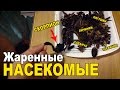 Едим насекомых в Тайланде. Скорпион, жуки, личинки, тараканы, многоножки