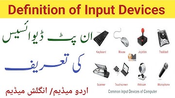 Input And Output Devices Of Computer // Input And Output Devices In Urdu