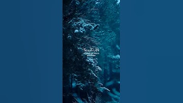 القارئ: احمد خضر 🤍🎧 {سوره: النور 🤍} #قرآن