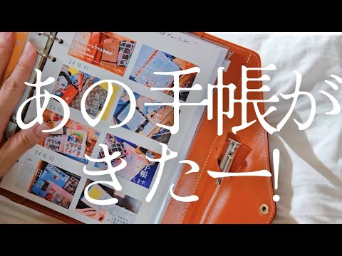 3点おまとめ・ふくろう、亀、鳥 幸運を運ぶ鳥「ふくろう」をモチーフにした【福ろう】10月1日