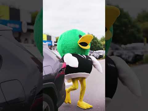 quackity quack quack 🦆 #duck #quackity #mascot #viral #drakessupermarkets #fyp