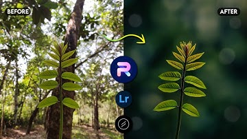 Blur Image Background | Mobile Photo Editing Tutorial | Lightroom Color Grading | PhotoRoom Edit