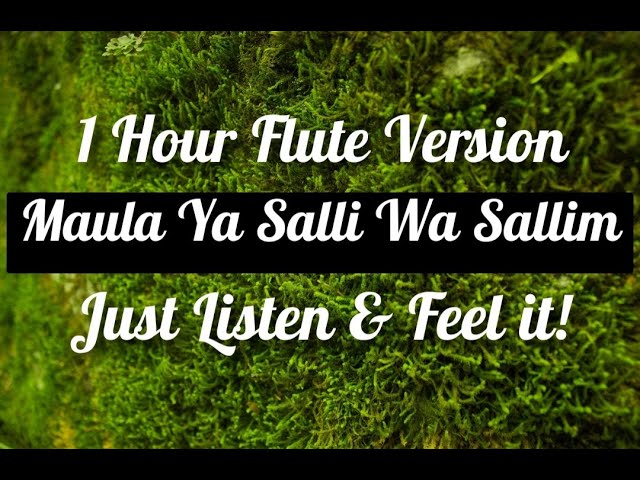 Maula Ya Salli Wa Sallim || 1 hour flute Version || Heart touching Flute Nasheed || #copyrightfree class=