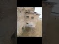 Didn't mean to disarm 😂 / FPV freestyle / #fpv #drone #shorts