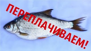 Содержание замороженной воды в пищевых продуктах ❄ ➄ Содержание замороженной воды в пищевых продуктах ❄ ➄