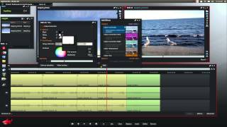 This is a video tutorial of the lightworks editing software my version
runs on ubuntu linux. i hope with anybody bas...