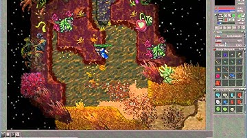 Tibia - Danera Server - Lvl 409 in Realm of Dreams