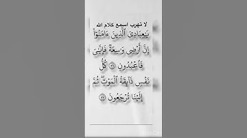 القارئ محمد ديبريوف ‏‏سورة العنكبوت 🥺 ‏