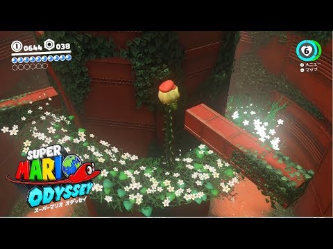 マリオオデッセイ 森の国 スチームガーデンのボスの倒し方 攻略大百科 マリオオデッセイ 森の国 スチームガーデンのボスの倒し方 攻略大百科