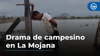 Drama de campesino en La Mojana: perdió todo por inundaciones y ahora debe más de $30 millones